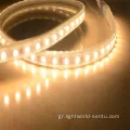 Υψηλή Lumen IP67 εξωτερική διακόσμηση LED Strip